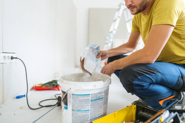 Best Basement Mold Removal  in Tamiami, FL
