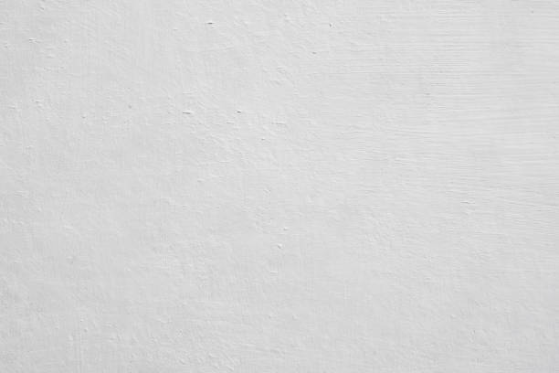Trusted Tamiami, FL Mold Removal Experts